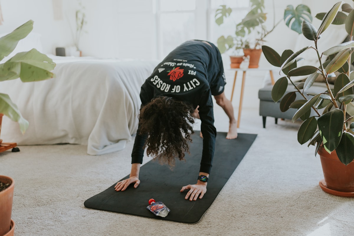 Professional physical activity guidance and rehabilitation support